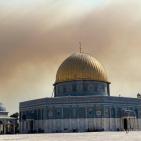 شاهد: تجدد الحرائق في غابات القدس لليوم الثاني