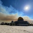 شاهد: تجدد الحرائق في غابات القدس لليوم الثاني