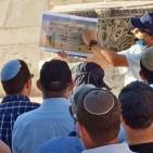 شاهد: مستوطنون يقتحمون باحات 