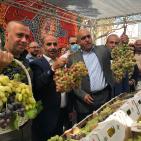 صور: انطلاق مهرجان تسويق العنب في جنين