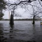 شاهد: فيضانات هائلة تضرب الساحل الشرقي للولايات المتحدة