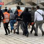 بالفيديو والصور: استشهاد فلسطيني قتل إسرائيليًا وأصاب 3 بالرصاص في القدس