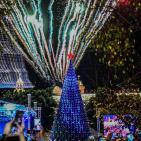 بالفيديو والصور: الاحتفال بإضاءة شجرة الميلاد في بيت لحم