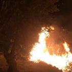 لبنان.. إخماد حريق ضخم بين بلدتي ذوق حلبا والنفيسة