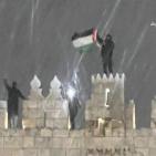 بالفيديو والصور: الزائر الأبيض ضيفا على فلسطين بعد انتظار 