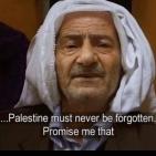 بيلا حديد: أتمنى العودة بالزمن لأقاتل من أجل فلسطين