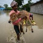 فلسطين تقدم مساعدات إغاثية عاجلة للمتضررين من فيضانات بنغلاديش
