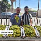 صور: انطلاق فعاليات مهرجان العنب الرابع في جنين