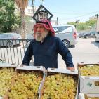 صور: انطلاق فعاليات مهرجان العنب الرابع في جنين