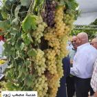 صور: انطلاق فعاليات مهرجان العنب الرابع في جنين