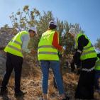 وكالة بيت مال القدس الشريف تُمول عملية قطاف الزيتون في القدس
