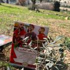 سيدة الأرض تغرس أشجار زيتون احتفاء بالمنتخب المغربي وياسين بونو