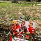 سيدة الأرض تغرس أشجار زيتون احتفاء بالمنتخب المغربي وياسين بونو