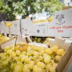 عنب جنين في رام الله
