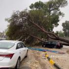 بالصور.. 25 قتيلا جراء عاصفة قوية ضرب ليبيا