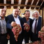 افتتاح مهرجان أيام العنب الخليلي في البلدة القديمة
