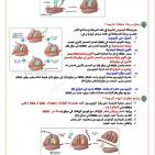 إجابة حل امتحان العلوم الحياتية الأحياء للثانوية العامة توجيهي فلسطين 2025
