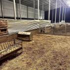 مستوطنون يعتدون على مواطنين ويسرقون 150 رأسا من الأغنام في دير دبوان