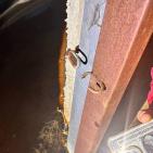 مستوطنون يعتدون على مواطنين ويسرقون 150 رأسا من الأغنام في دير دبوان