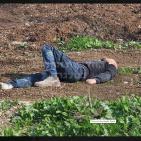 بالفيديو: مقتل مستوطنين وإصابة 6 في عملية دهس وطعن قرب العفولة