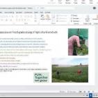 اتحاد الصناعات الغذائية والزراعية وبرنامج الخبراء الهولنديين PUM يختتمان دورة تدريبية متخصصة بعنوان