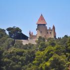 خاص | مصوّر يوثق الحياة البرية في معركة حماية البيئة والهوية