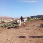 مستوطنون يعيقون عمل طواقم لجنة الانتخابات في تجمع يرزة شرق طوباس