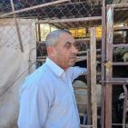 بالصور| الاتحاد الأوروبي ينفذ جولة لمشاريع دعم صمود لمزارعين في طوباس وقلقيلية