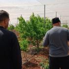 بالصور| الاتحاد الأوروبي ينفذ جولة لمشاريع دعم صمود لمزارعين في طوباس وقلقيلية