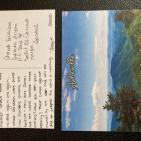 بالصور: إدارة سجن الدامون تمنع وصول ألف بطاقة بريدية للأسيرات