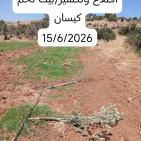 توثيق سجلات وزارة الزراعة لانتهاكات الاحتلال خلال الأسبوع الماضي