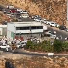 أعداد كبيرة من المستوطنين تقتحم بيتونيا وطريق جريوت غرب رام الله
