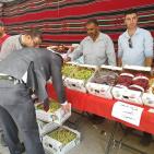 الخليل تحتفل بعنبها 