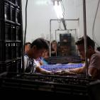 نفط مدينة القمر 