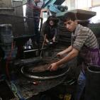 أقدم معاصر الزيتون في فلسطين 