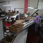 نفط مدينة القمر 