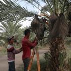 نفط مدينة القمر 