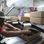 نفط مدينة القمر 