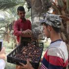 نفط مدينة القمر 