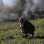 مواجهات اليوم الجمعة على المدخل الشمالي لمدينة البيرة 