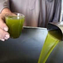 خاص| الزيت الخفيف أم الثقيل؟ مجلس الزيتون الفلسطيني يحسم الجدل ويكشف الأفضل للصحة