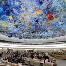 مجلس حقوق الإنسان يعتمد قرارا بشأن فلسطين والخارجية ترحب