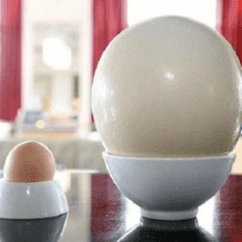 شاب يأكل بالخطأ بيضة ثمنها 10 آلاف جنيه استرليني