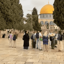 1059 مستوطنًا اقتحموا المسجد الأقصى خلال أسبوع