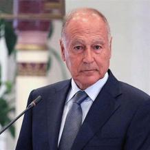 أبو الغيط: حل الدولتين هو العادل والوحيد للقضية الفلسطينية