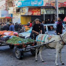 الإحصاء: انخفاض مؤشر غلاء المعيشة في فلسطين بنسبة 0.40% خلال الشهر الماضي