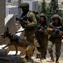 الاحتلال يعتقل شابا من مدينة جنين ويحول منازل لثكنات عسكرية في عرابة