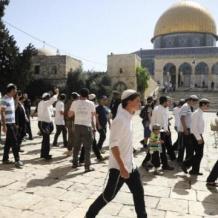 480 مستوطنا يقتحمون المسجد الأقصى
