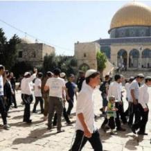 ارتفاع عدد المستوطنين المقتحمين للأقصى إلى نحو 1271يتقدمهم بن غفير وكاتس