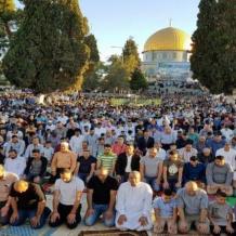 المفتي العام: صلاة عيد الأضحى الساعة السادسة وخمس دقائق صباحا